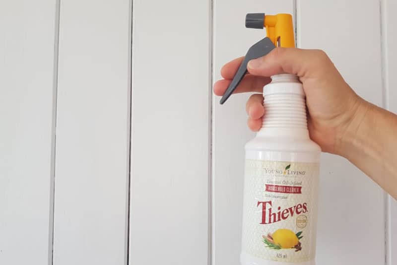 11 recipes for Thieves® Household Cleaner